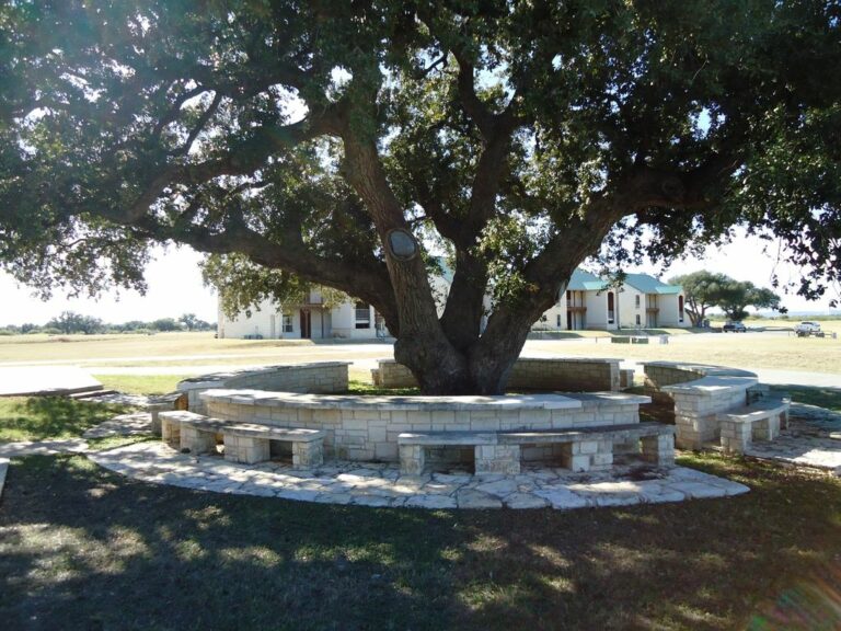 6ab83bbd 2a02 4321 99b0 2e7169d01a83.f10 768x576