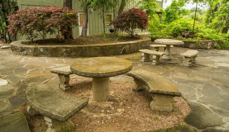 thicket picnic 768x444