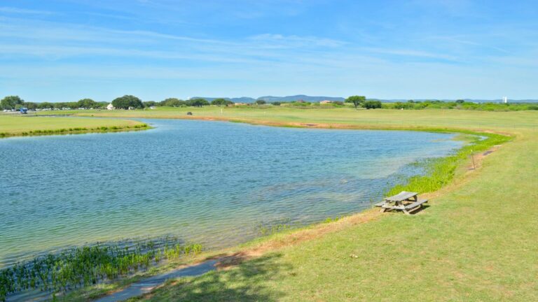 3e4acb4c d1ee 4446 8b62 03a11b65f188.f10 9 768x432