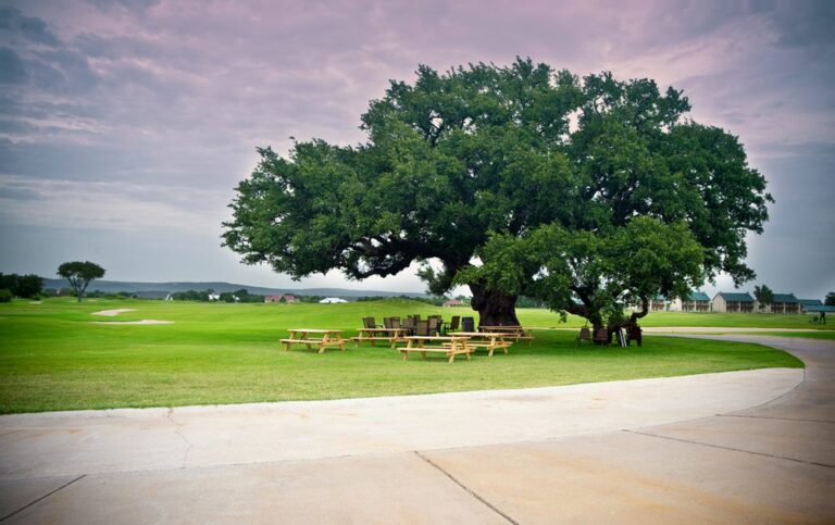 f2c60444 a06f 4528 9ae7 a0cd0f61d4a3.f10 13 768x483