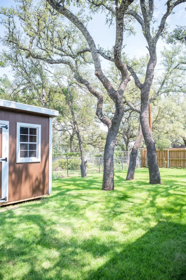 1c30339e f82a 4949 89ce 36ddc8e2abcf 768x1154