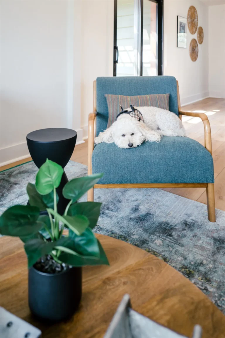 2e43827c 260d 41e4 923d 6f907a15fb14 768x1154