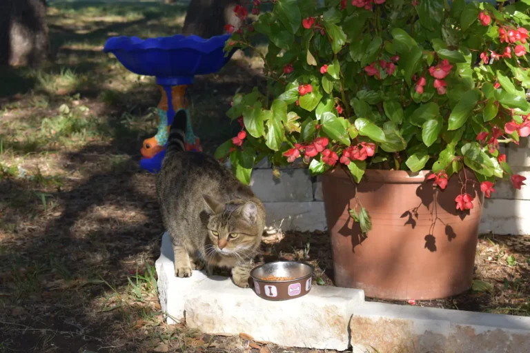 53a90d62 de06 4bc1 ae35 f7b96d1d09a6 768x512