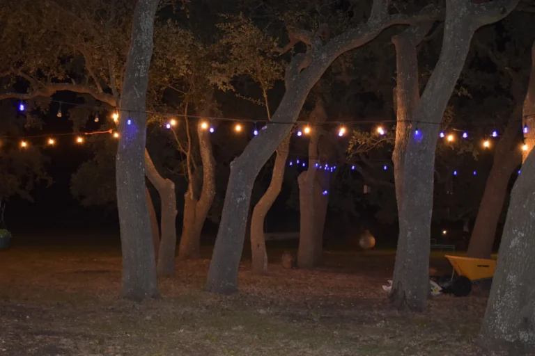 6145eafb 2418 4ca8 9696 62d99b22c2f7 768x512