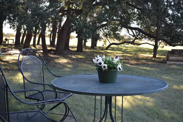 99a79ee1 508c 424a bc00 3d581465bbd4 768x512