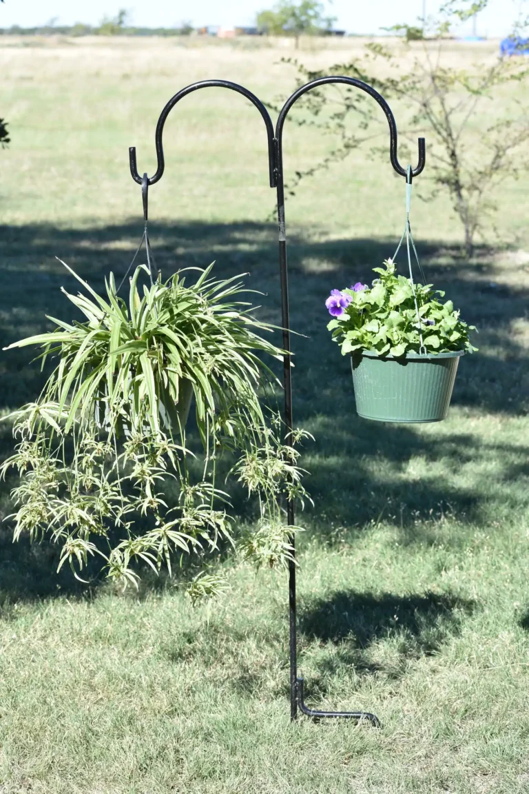 d58ecf3f 1451 4f8d 9a05 2f1444bbe18c 768x1152