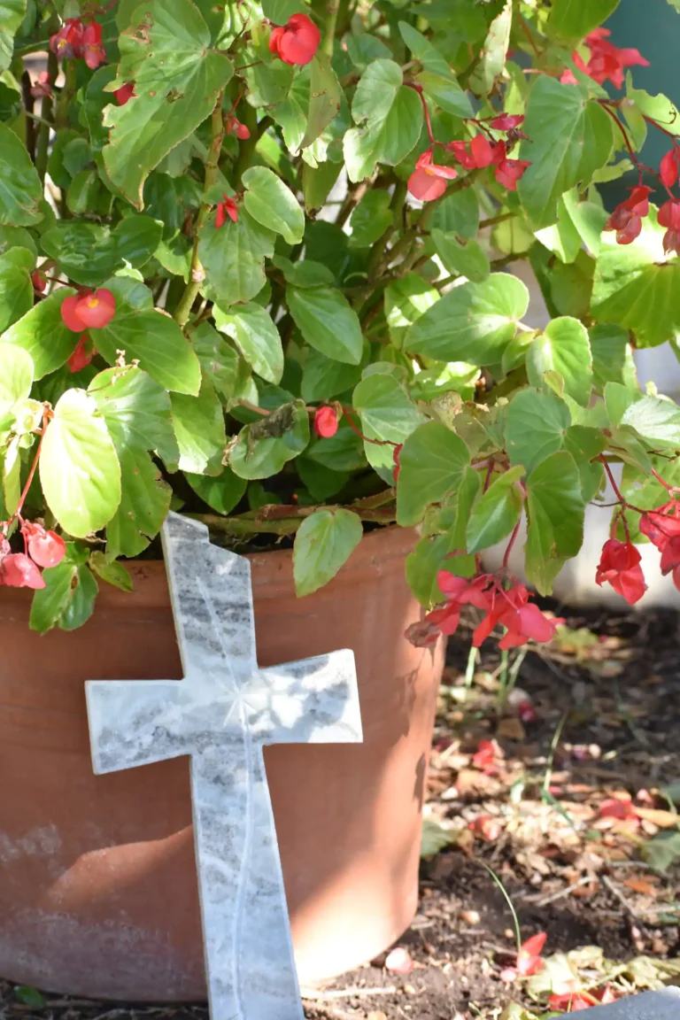 f70413d7 fcef 4b0e be1c c8365c807a3d 768x1152