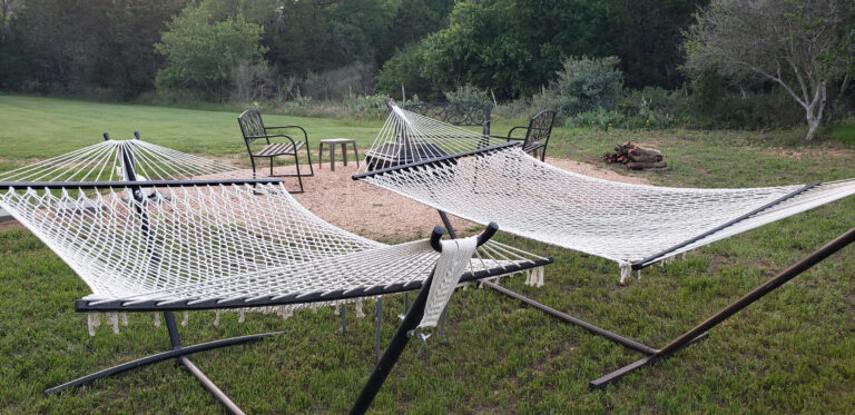 2ef39c4c 5109 4ba3 8d81 3d717e77c7fd 768x373