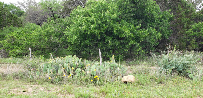 b139e1d6 78e1 4d34 80ae adc9a40a0e4e 768x373