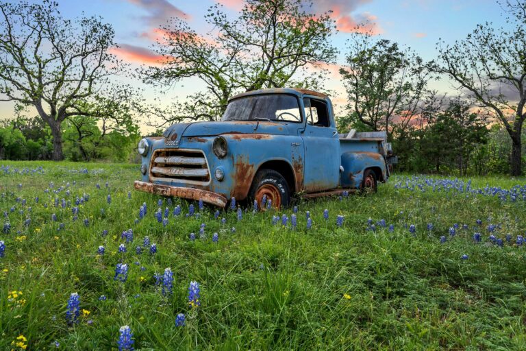 um0xjntlk230wxzoqnkp 768x512