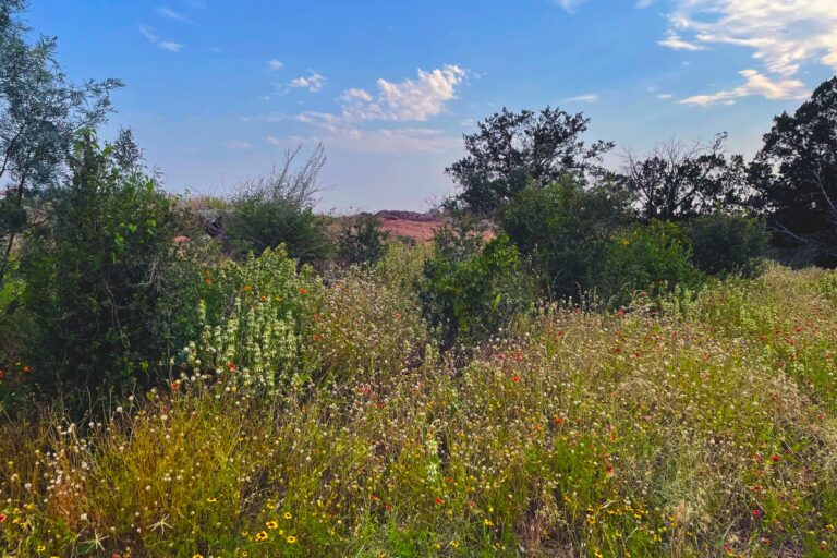 765712fe 1492 4a64 8884 591e5968c7ef 768x512