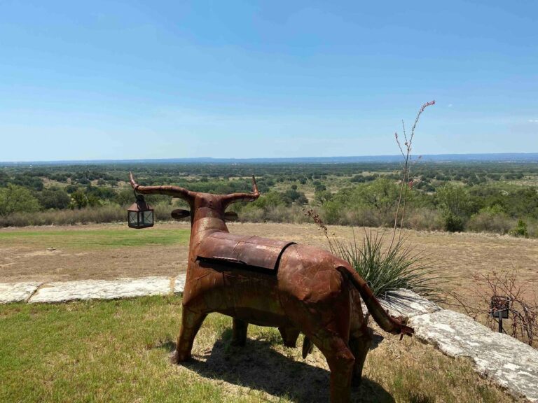 54e3e306 35f6 4ebe a67d 0af0a4d0651a 768x576