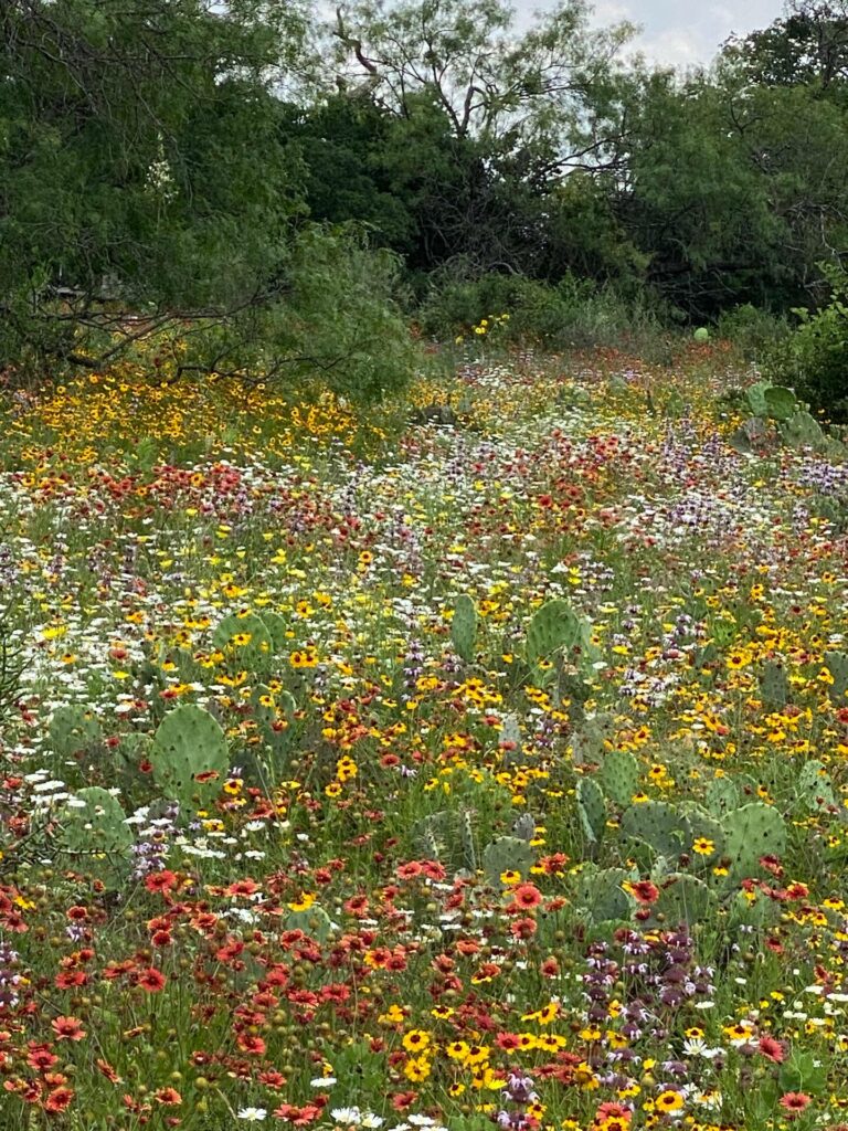 94be334b 7b08 4188 9804 2d49e49a10c4 768x1024