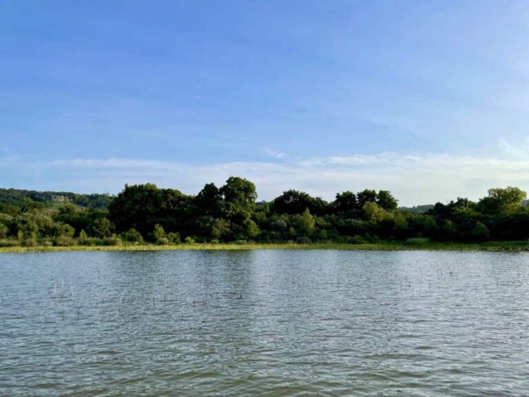 4beb4871 2163 461f a5a8 3d73f5bfcd78 768x576