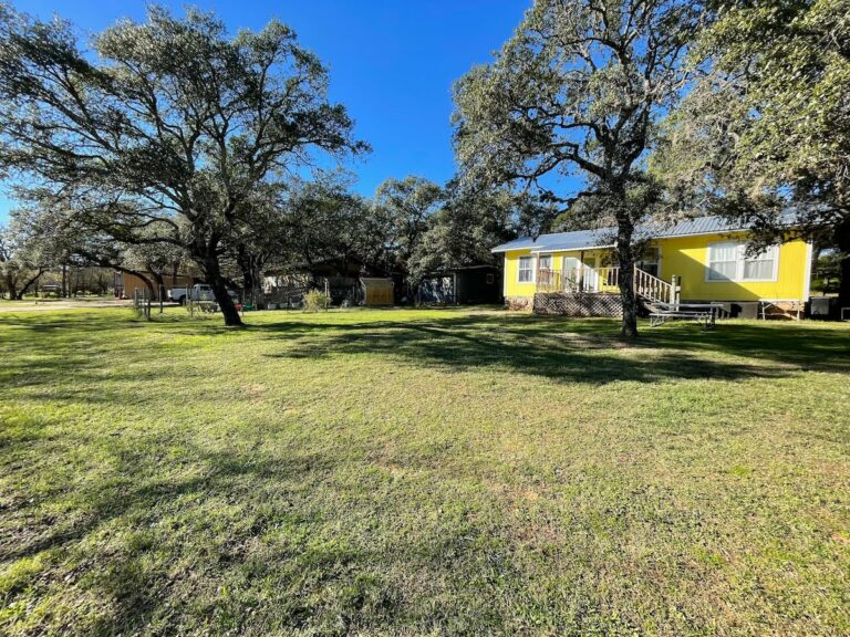 50658ba2 fb15 40f4 9c1b 3fa7c70fad9e 768x576