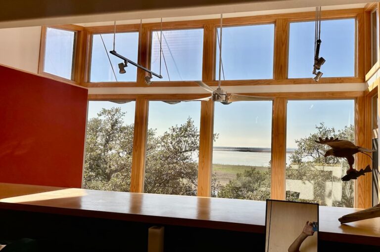 8a363735 0f78 41ed b770 75b4d52c692e 768x510